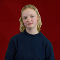 Iris Post, Letteren #2BA Kunsten, Cultuur & Media